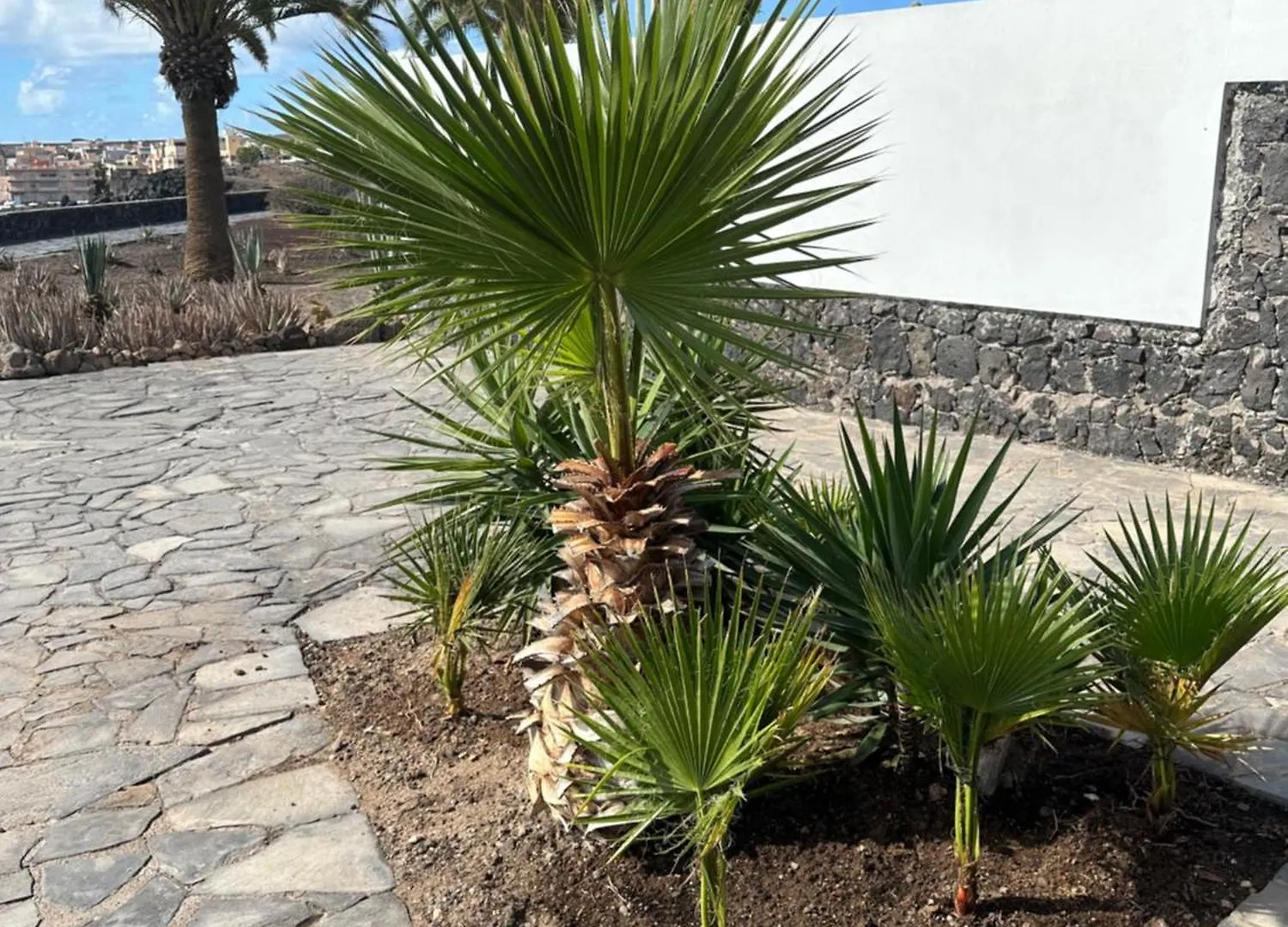 Appartement Ocean View Tenerife South Coast Costa Del Silencio