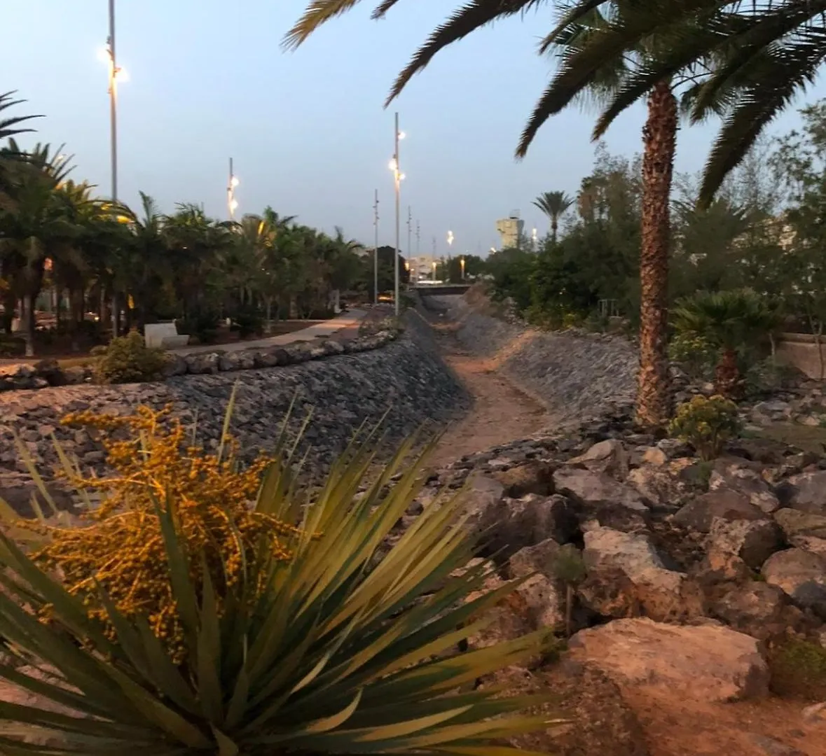 Appartement Ocean View Tenerife South Coast Costa Del Silencio