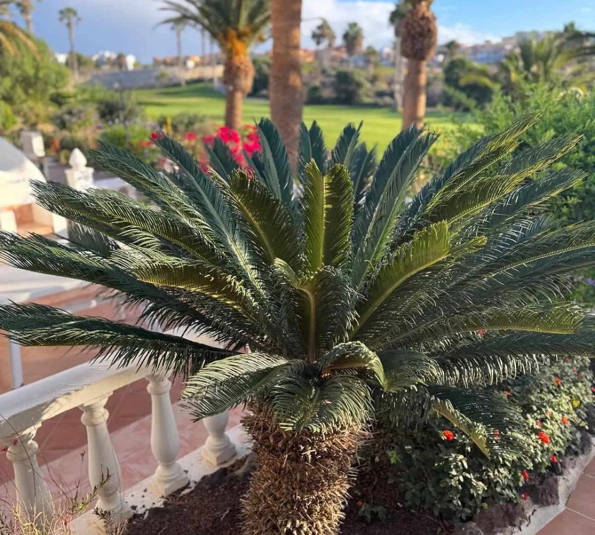 Appartement Ocean View Tenerife South Coast Costa Del Silencio
