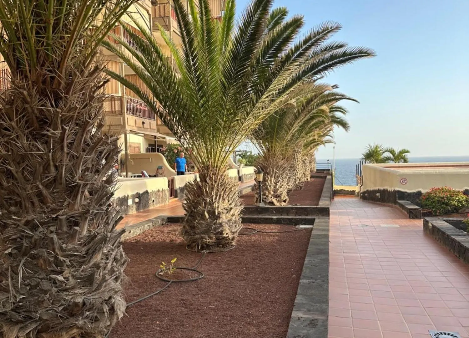 Appartement Ocean View Tenerife South Coast Costa Del Silencio Spanje